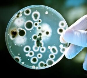 PLOS Pathogens'te yayınlanan araştırma sonuçları, gelecekte potansiyel bir salgına neden olabilecek bakterilere karşı yeni yöntemin kullanılabileceğini gösteriyor.